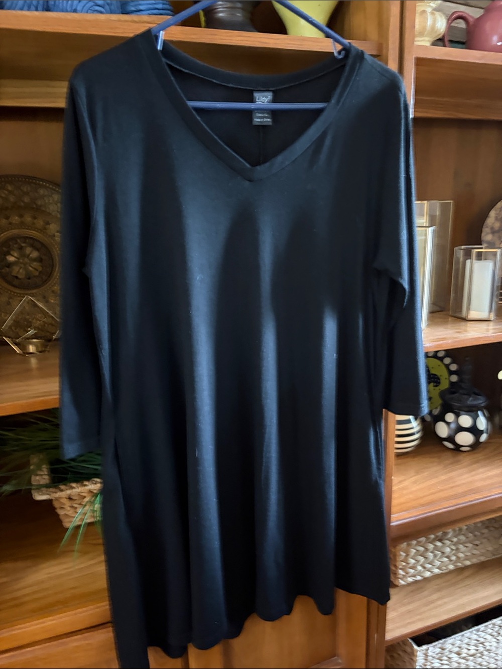 Everyday V-Neck Black Long Sleeve Swing Dress